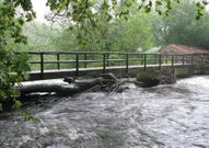 Troncos y maleza acumulados en el puente haciendo un efecto tap�n.