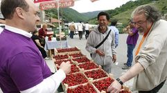 Un puesto de venta de cerezas en una edici�n anterior del festejo gastron�mico
