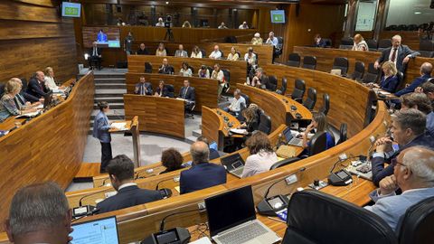 Pleno extraordinario de la Junta General del Principado, para debatir sobre financiaci�n auton�mica