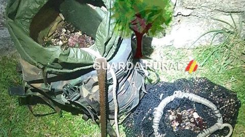 Los casi 24 kilos de percebes intervenidos por Garda Rural a dos furtivos en A Percebellosa, Corme.