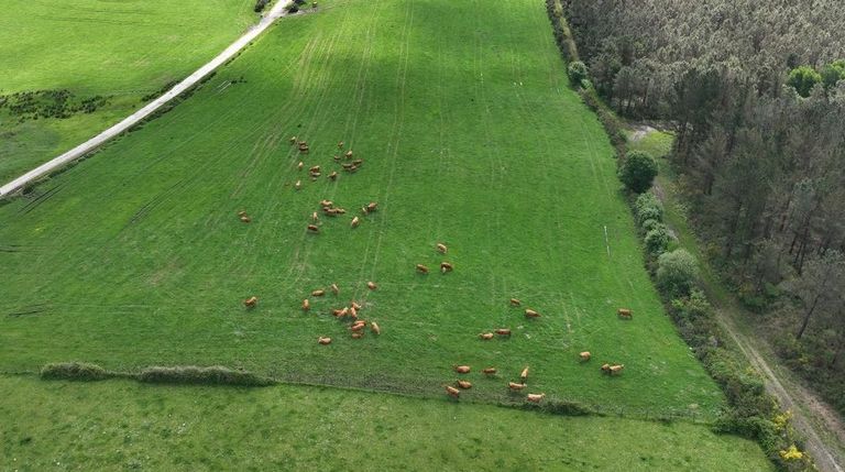 Imagen de una explotación en extensivo tomada desde drones del proyecto