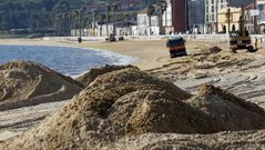 Camiones y excavadoras comenzaron esta ma�ana las obras de regeneraci�n de la playa de Os Areos de A Pobra