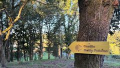 El Cami�o de Santa Paterna en im�genes