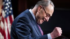 El l�der dem�crata del Senado, Chuck Schumer, celebra la votaci�n