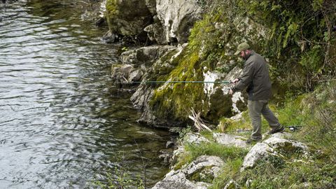 Pescador en el Puente Romano de Cangas de On�s. Cientos de pescadores tratar�n de hacerse este domingo con el preciado 'campanu',