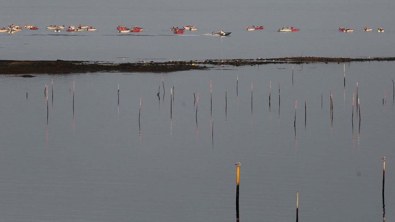 Mar lanza ayudas por paro temporal en los bancos de libre marisqueo de Arousa