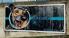 Novo grafiti de Diego As no Campus de Lugo