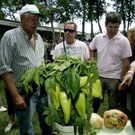 Se podr�n degustar pimientos de forma gratuita. 