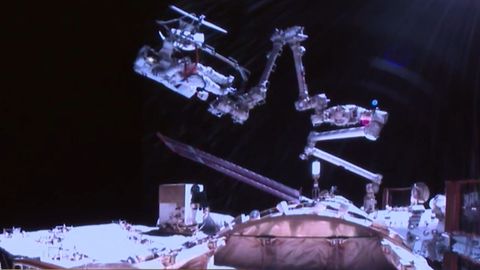 Una imagen de la caminata. 