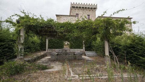 En las zonas verdes prolifera la maleza
