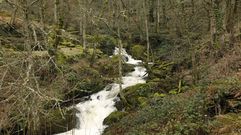 Cascada en la carretera de A Pobra de Trives a Manzaneda