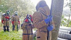 El tcnico Miguel Rodrguez aplica el insecticida valindose de una prtiga para alcanzar los aproximadamente siete metros de altura a los que se encuentra el nido