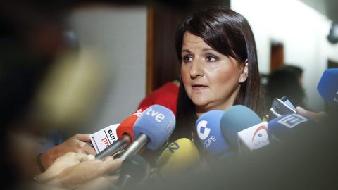 La portavoz de Ciudadanos en la Junta General del Principado, Laura P�rez-Macho