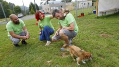 Ladridos y maullidos muy rentables