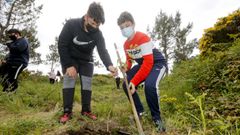 Alumnos de Fisterra reforestan con frondosas el monte local