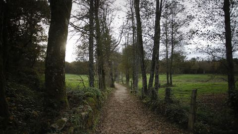As� es el Cami�o Primitivo a su paso por el municipio de Lugo