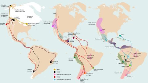 El mapa muestra las tres grandes migraciones humanas que moldearon la diversidad gen�tica de los pueblos ind�genas de Sudam�rica. De izquierda a derecha, cada panel representa una de estas dispersiones ocurridas, de izquierda a derecha, hace 19.000, 9.000 y 1.300 a�os