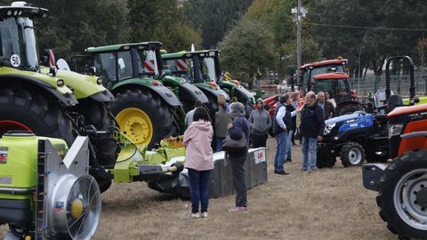 Feria Crianza Trevinca en A Veiga.