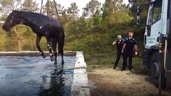 Muere un caballo ahogado y rescatan a otro en un dep�sito de agua en Vilalba