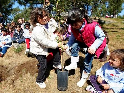 Los escolares volver�n a realizar plantaciones.