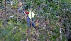 Los huesos fueron localizados en el monte de A Fraga por un vecino de A Lama en agosto del 2013. 