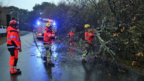 Los bomberos tuvieron que talar un �rbol que hab�a ca�do en la carretera de O Carreir�n en A Illa