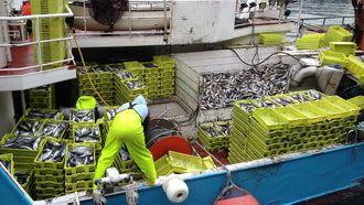 Imagen de archivo de un cerquero cargado de jurel en un puerto gallego