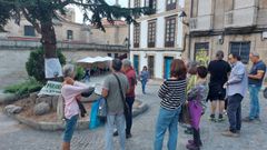 Concentraci�n en protesta por la poda del cedro de la Praza dos Suaves, en Ourense.