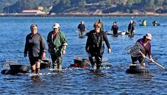 Las mariscadoras quieren que la Xunta suprima los �ltimos vertidos y as� poder trabajar en todos los bancos del fondo de la r�a.