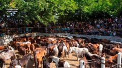 Los caballos robados se llevaban luego a ferias y curros