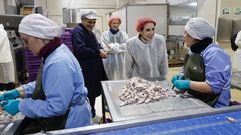 La conselleira de Econom�a, Mar�a Jes�s Lorenzana, en la conservera Orbe, de Ponte Caldelas, en donde anunci� las ayudas