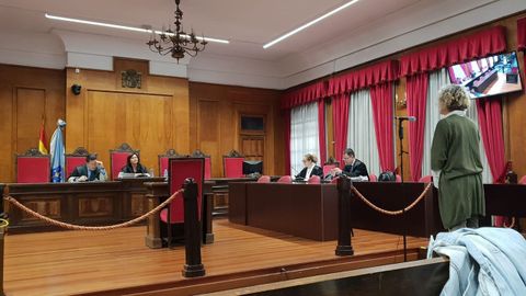 Un momento del juicio en la Audiencia Provincial