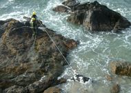 Los operarios del Concello de Sanxenxo emplearon un d�a entero en sacar el buey de las rocas. 
