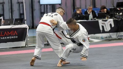 Campeonato gallego de hapkido en el Pabell�n de Barra�a