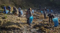 Voluntarios en una limpieza de Mar de F�bula, en Camari�as