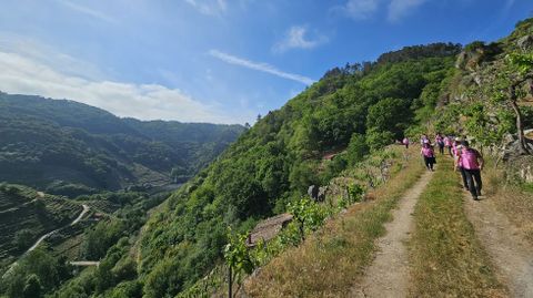 Os participantes puideron elixir entre tres percorridos de diferentes dificultades pola ribeira do Mi�o