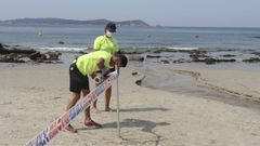 Socorristas en la playa de Pragueira acordonando la zona del vertido