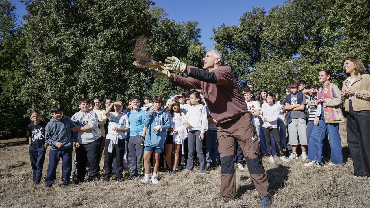 Las aves migratorias usan la ruta gallega del Atlántico Oriental como corredor