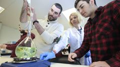 Los datos que se analicen servir�n tambi�n para tesis doctorales.