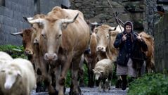 Las reinas del campo