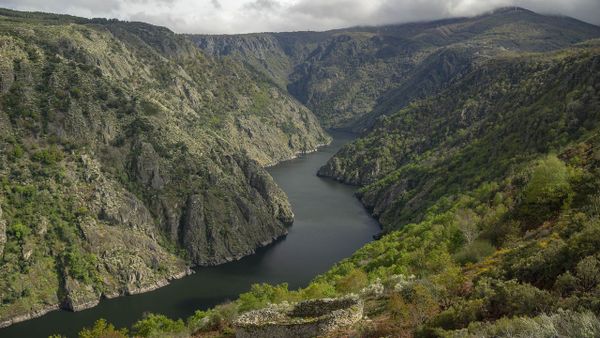 Ribeira Sacra, en Nogueira de Ramu�n