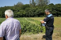 La Polic�a Local se acerc� ayer por la ma�ana a la finca de Send�n donde sucedieron los hechos. 