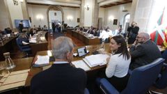Pleno de la Diputaci�n de Lugo
