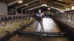 «Préndeme o boi», la versión más enxebre del nuevo éxito de Enrique Iglesias «Duele el corazón»