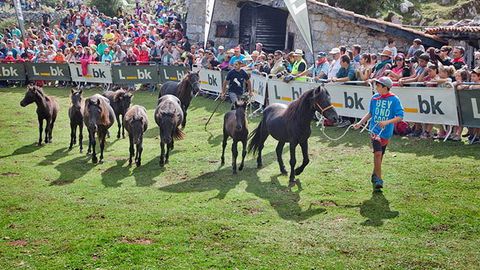 Fiesta del Asturcón en Piloña