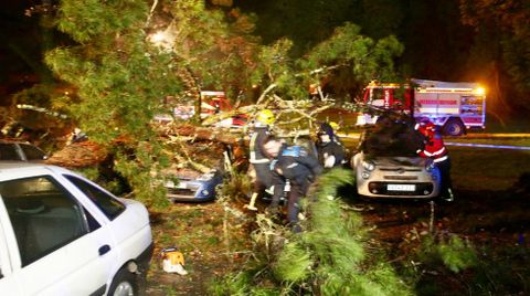 Cae un rbol encima de siete coches en ACEA Da Ama