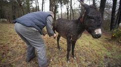 �Se me ca�an las l�grimas al verlos�