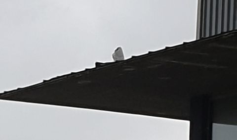 En el Chuac volaron dos planchas del voladizo del �rea de Reanimaci�n