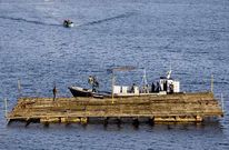 Las bateas instaladas en Ferrol est�n en las inmediaciones del puerto exterior de Caneli�as.