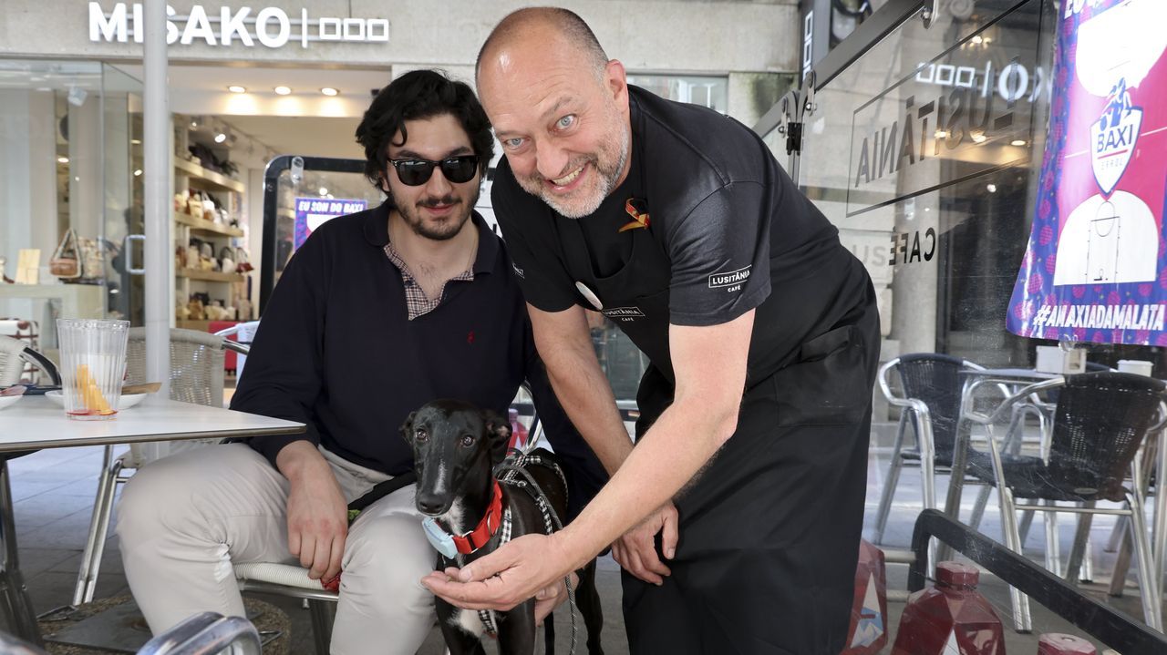 Los perros se van de café: Repsol reconoce ocho locales «pet friendly» en la provincia de A Coruña